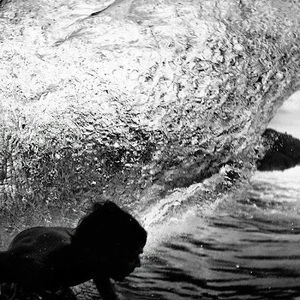 Meet your Posher, Brock